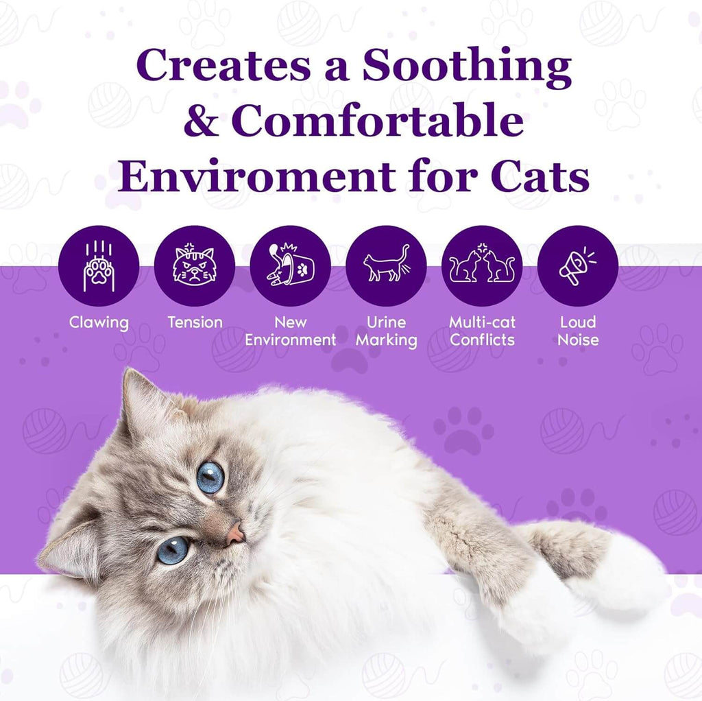 Cat calming diffuser promotional graphic with gray tabby kitten lying down