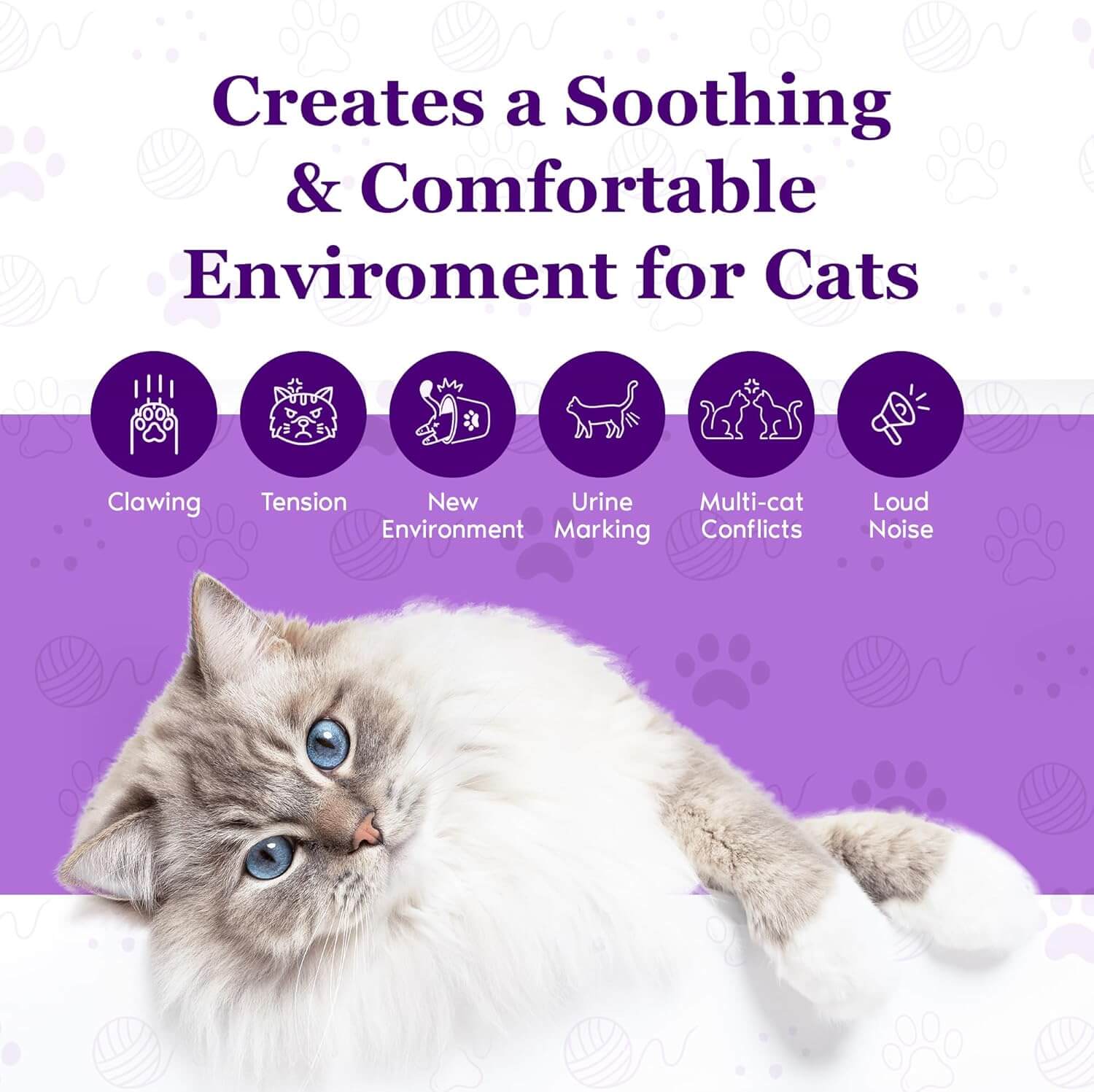Cat calming diffuser promotional graphic with gray tabby kitten lying down