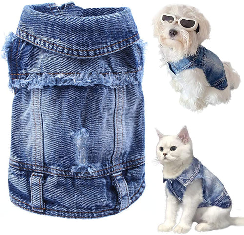 Blue denim pet jacket, distressed front and frayed hem, button closure