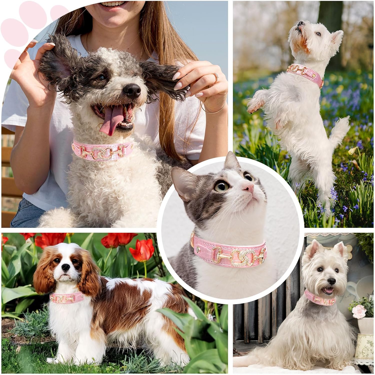 Boutique Crystal Heart Dog Collar – Pink & Purple Croc Texture