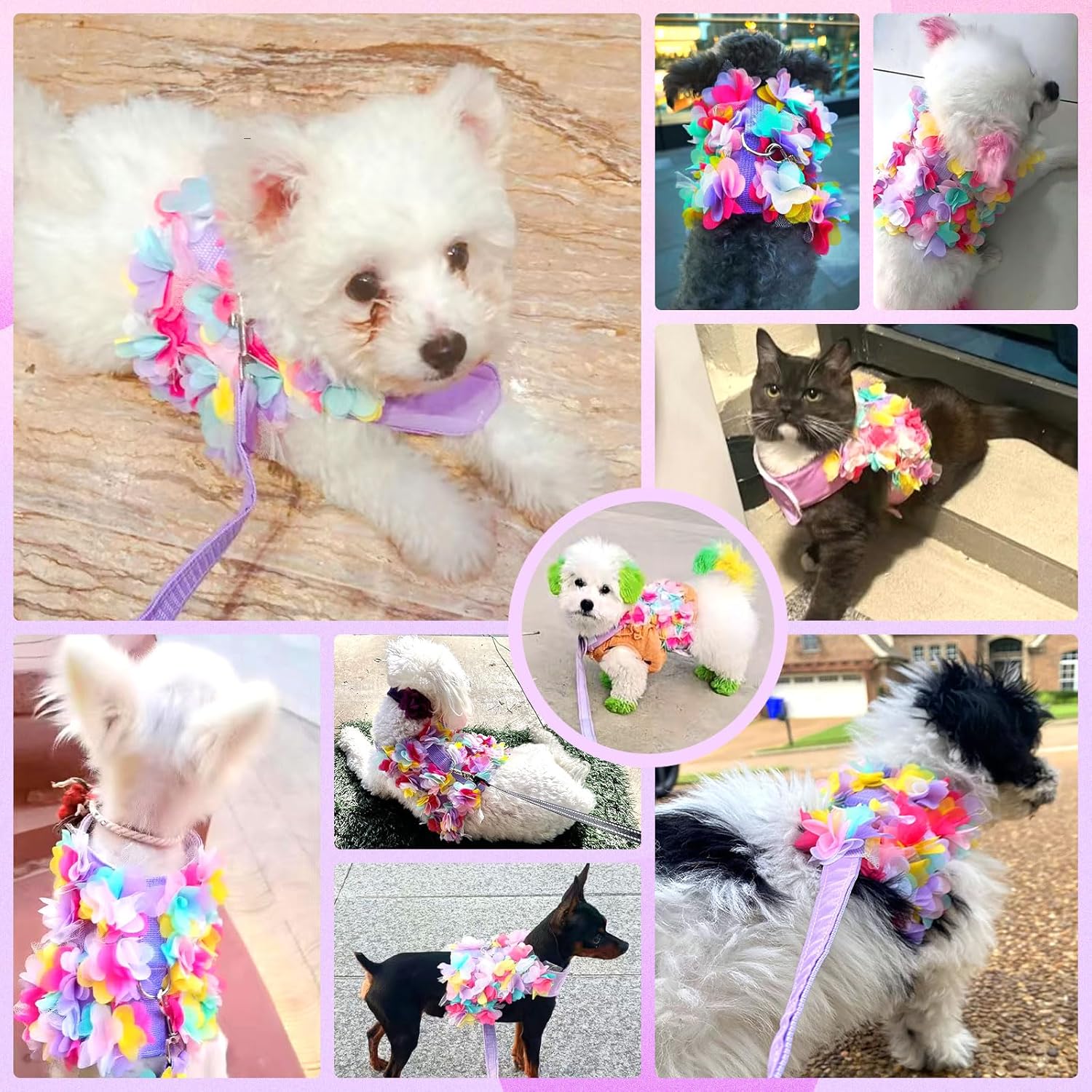 Boutique Floral Dog Harness and Leash Set – 3D Petal Puppy Vest Harness for Small Dogs & Cats