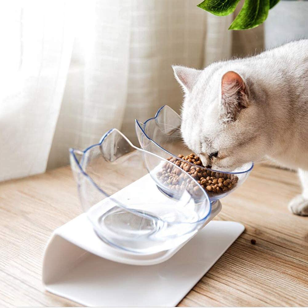 Raised double pet food bowl stand with two clear bowls and blue rim