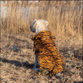 Tiger-striped orange dog hoodie with hood and soft fleece lining