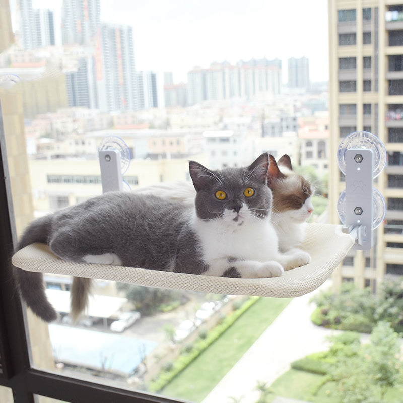 Grey-and-white cat lounging on light mesh window hammock with suction cup mounts