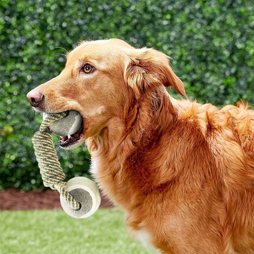 Cotton Rope  Ball  & Tug Toy For Dogs