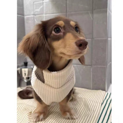 Two-tone knitted pet turtleneck sweater on brown dog, cream knit with dark trim