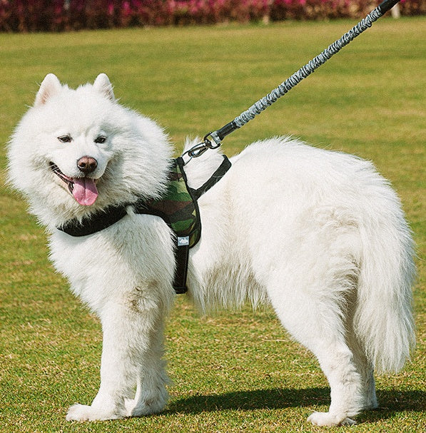 Dog chest harness with black chest strap and gray rope leash, silver clip