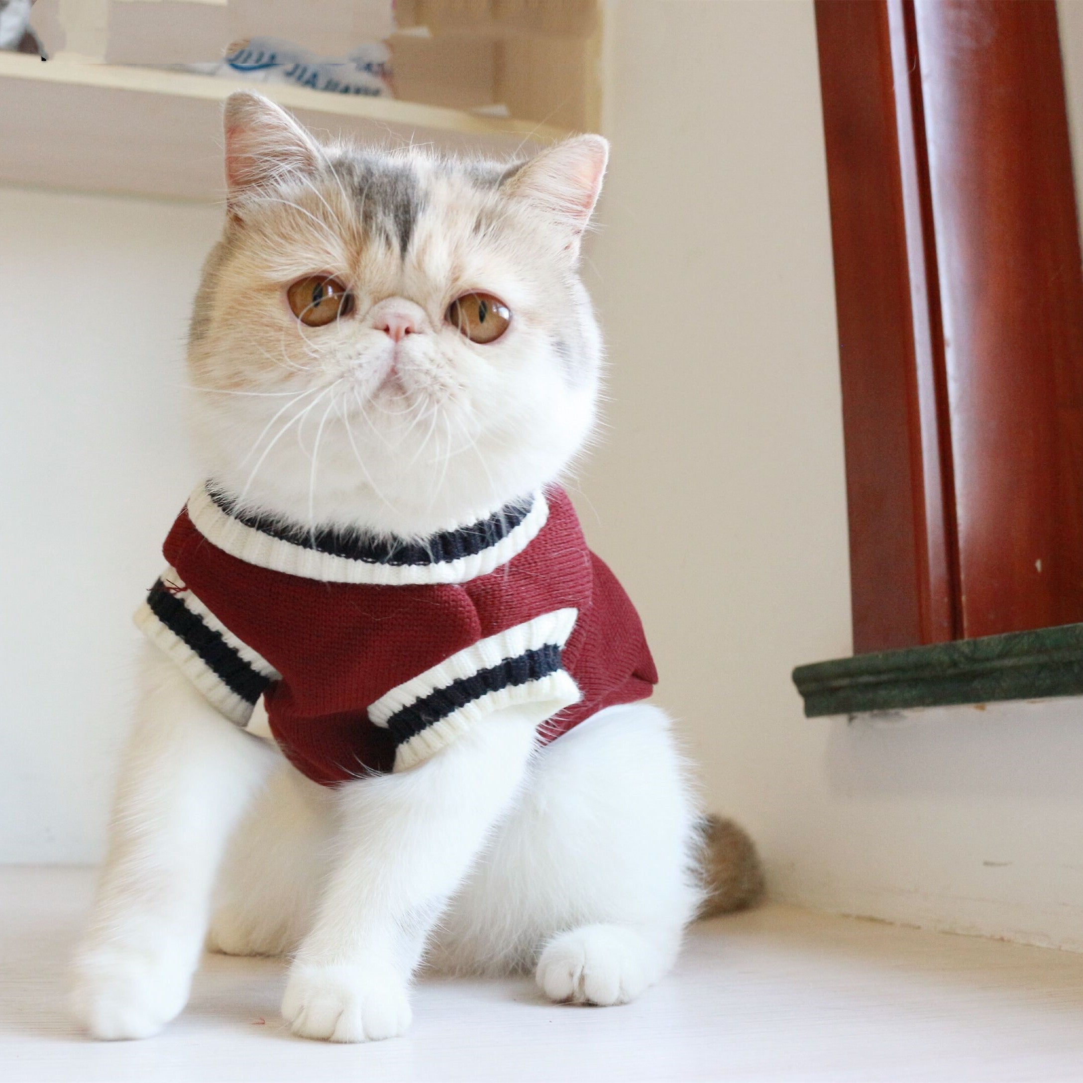 Cat knit sweater vest, wine red with black-and-white striped collar