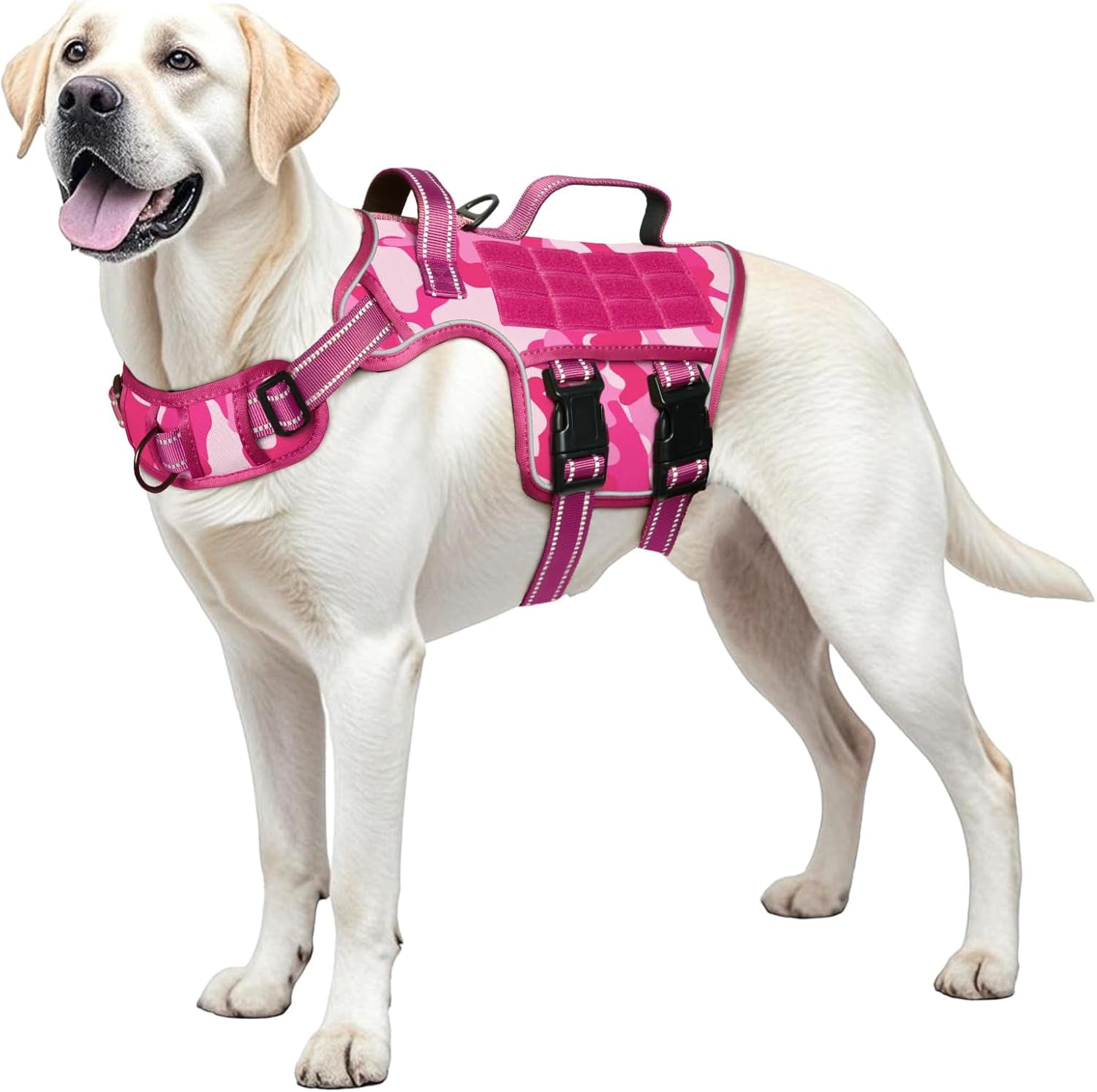 Dog tactical MOLLE harness, magenta pink vest with black buckles and chest strap