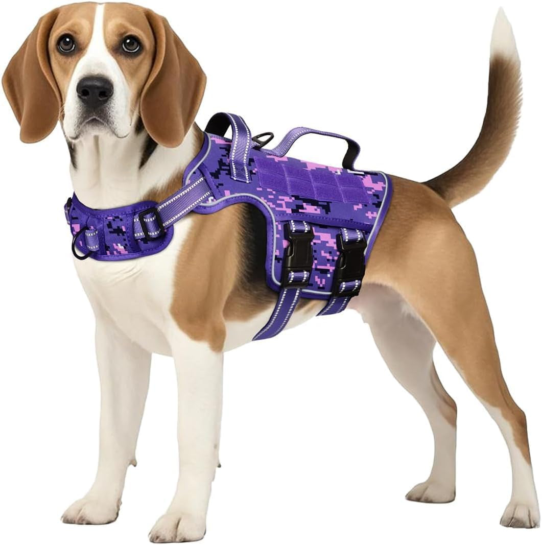 Dog tactical MOLLE harness, purple camo vest with front buckles and chest strap