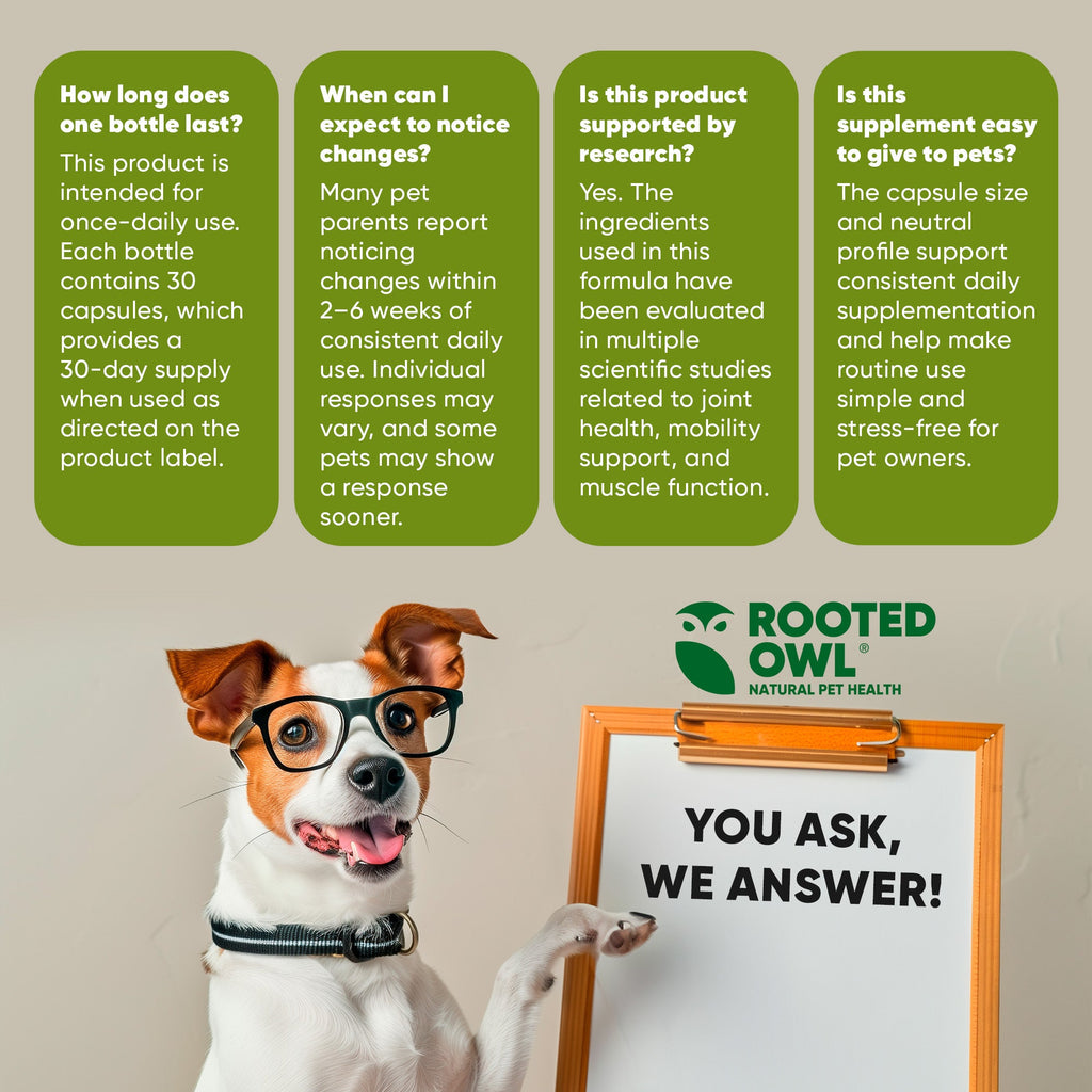 Dog pointing at clipboard in Rooted Owl “You Ask, We Answer” supplement FAQ graphic.