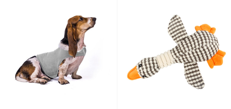 Pet calming vest on dog, light grey fabric; houndstooth plush toy with orange paws