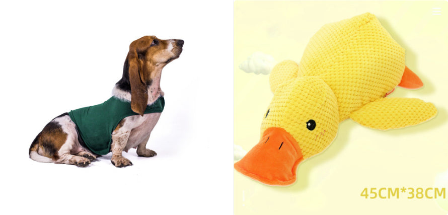 Pet calming anxiety vest in green, worn by a standing dog.
