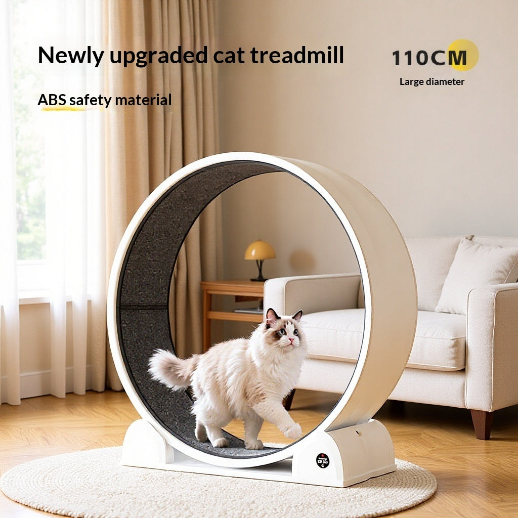 White circular pet treadmill with dark tread belt and standing cat inside ring