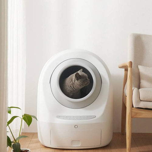 Automatic enclosed smart cat litter box with circular entry and gray cat inside