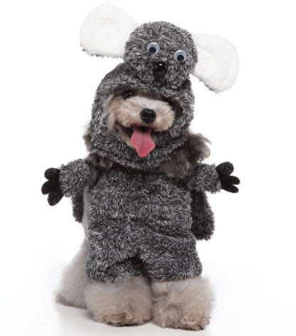 Koala dog costume with gray fuzzy hood ears and paw-shaped hands