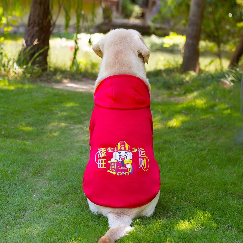 Red dog sweatshirt with cartoon patch on back, standing rear view