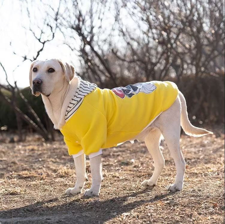 Yellow dog sweatshirt with striped collar and hood-like neckline