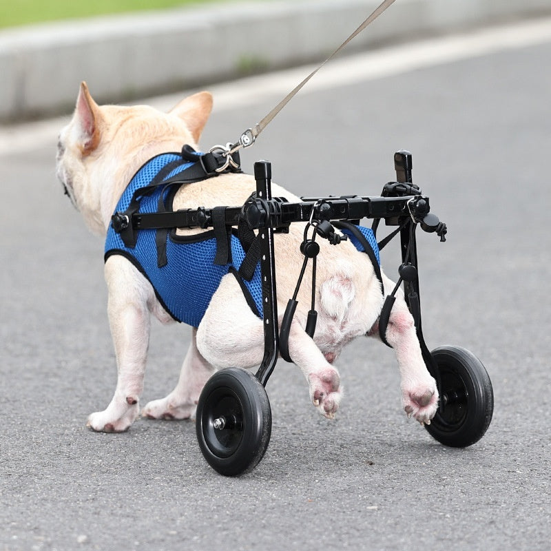 Blue disabled dog wheelchair scooter in use on pavement, black harness and two rear wheels visible
