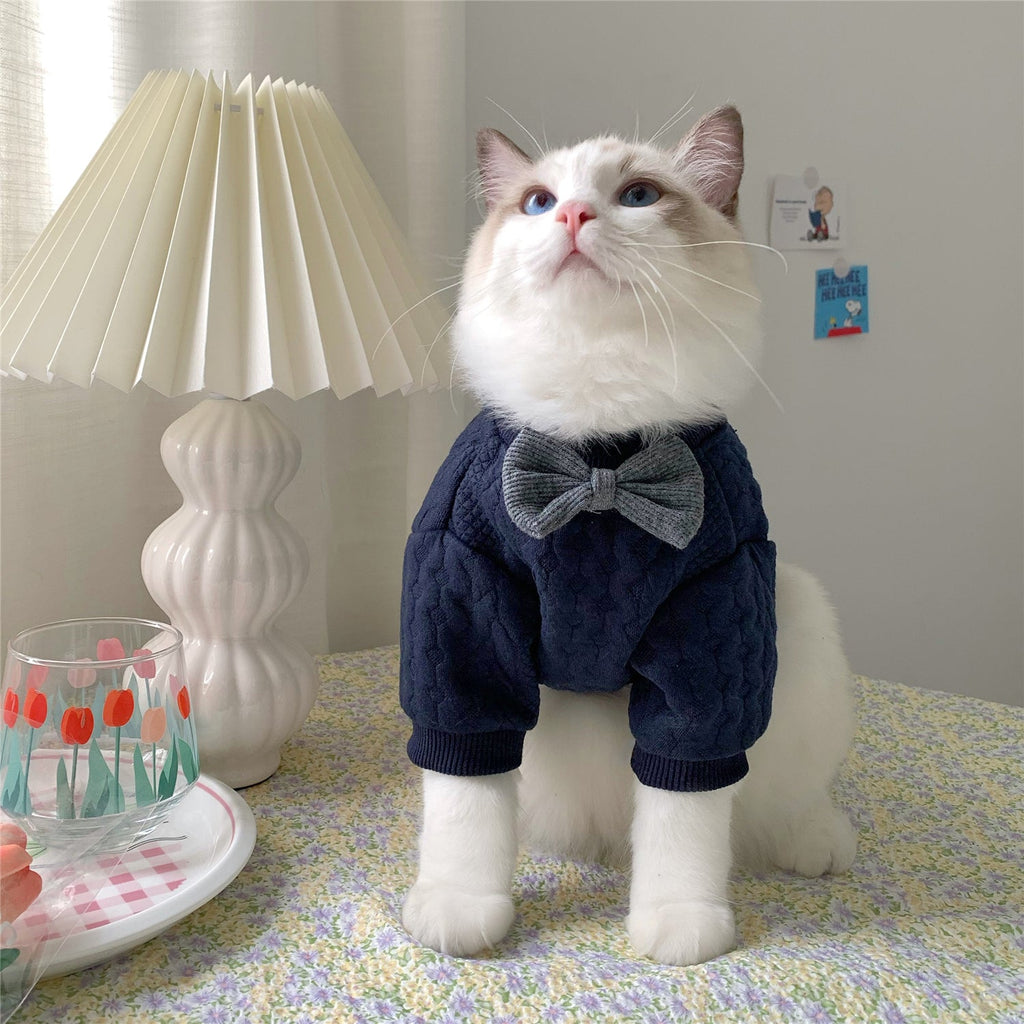 Navy pet sweater with quilted texture and gray bow, worn by a white cat