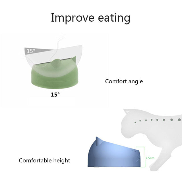 Green pastel cat bowl with angled design for comfortable eating