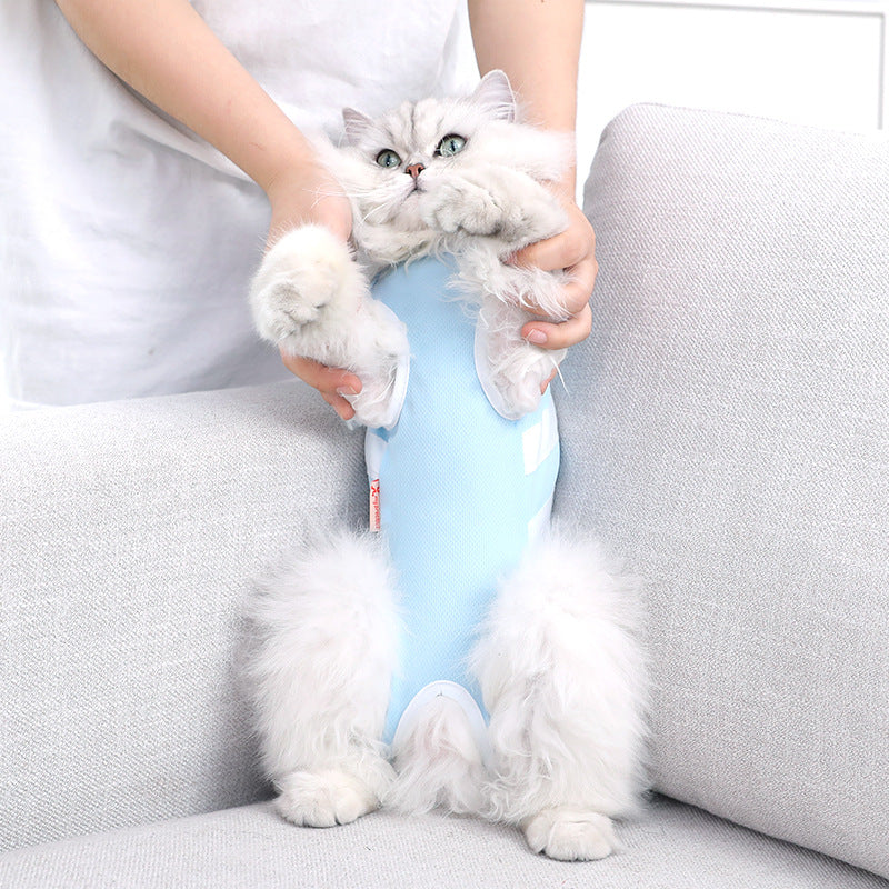 Light blue cat summer outfit with white trim, sleeveless harness-style fit