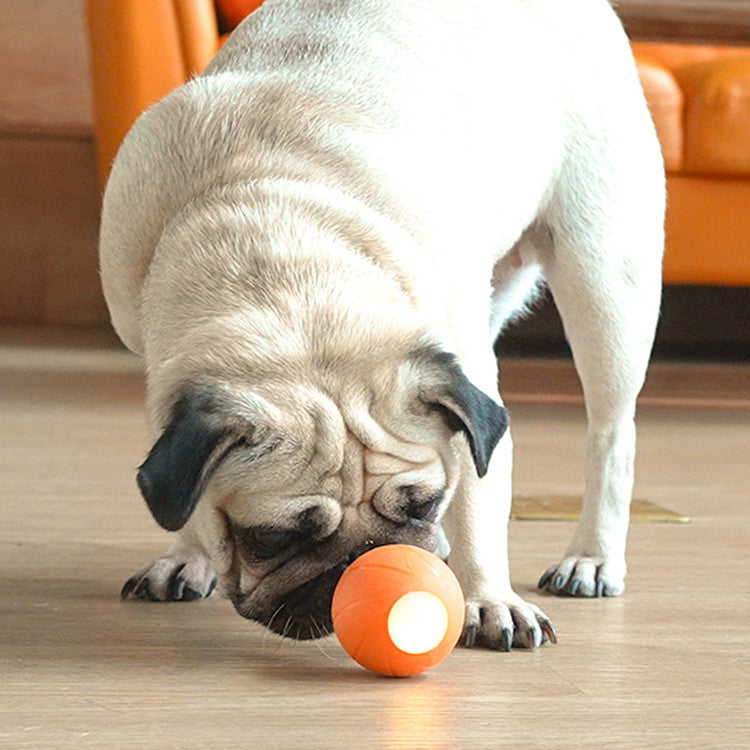 Cat Toys Smart Rolling Ball