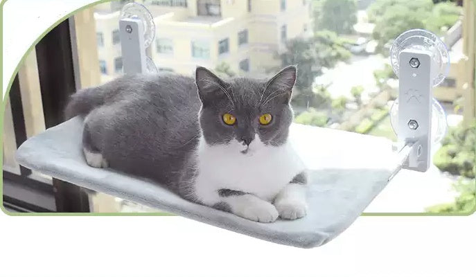 Grey-and-white cat resting on light grey window hammock with suction cup brackets