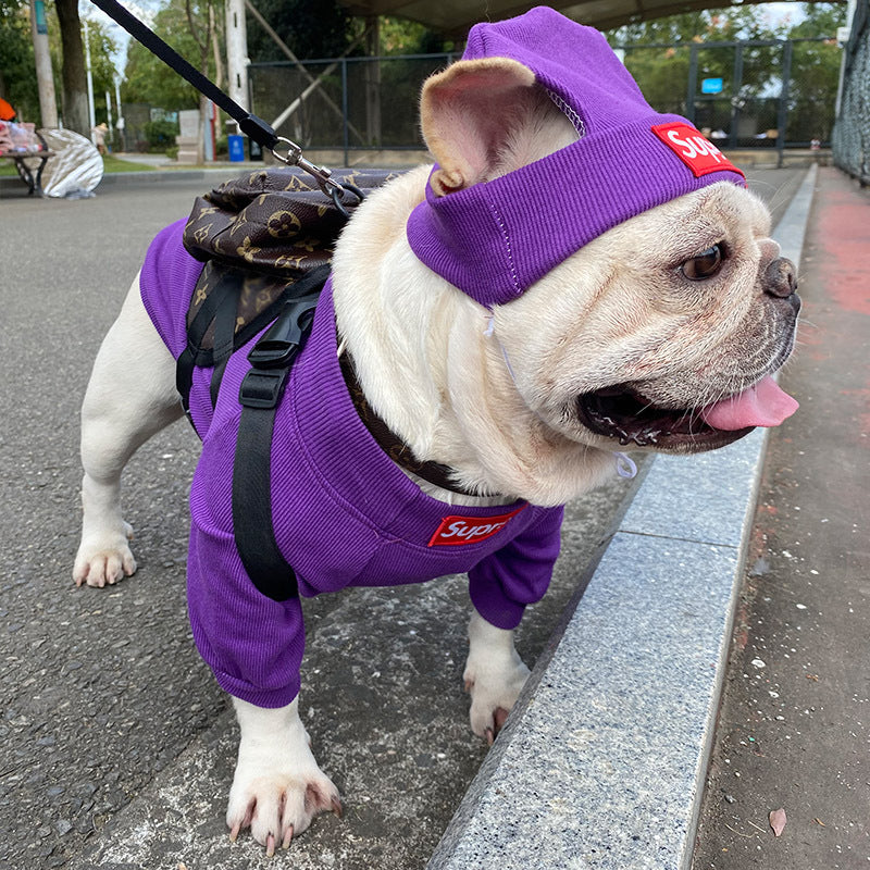 Purple dog outfit and knit hat set on dog with leash
