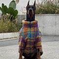 Dog fleece-lined coat in multicolor plaid fleece, full front zipper and stand collar.