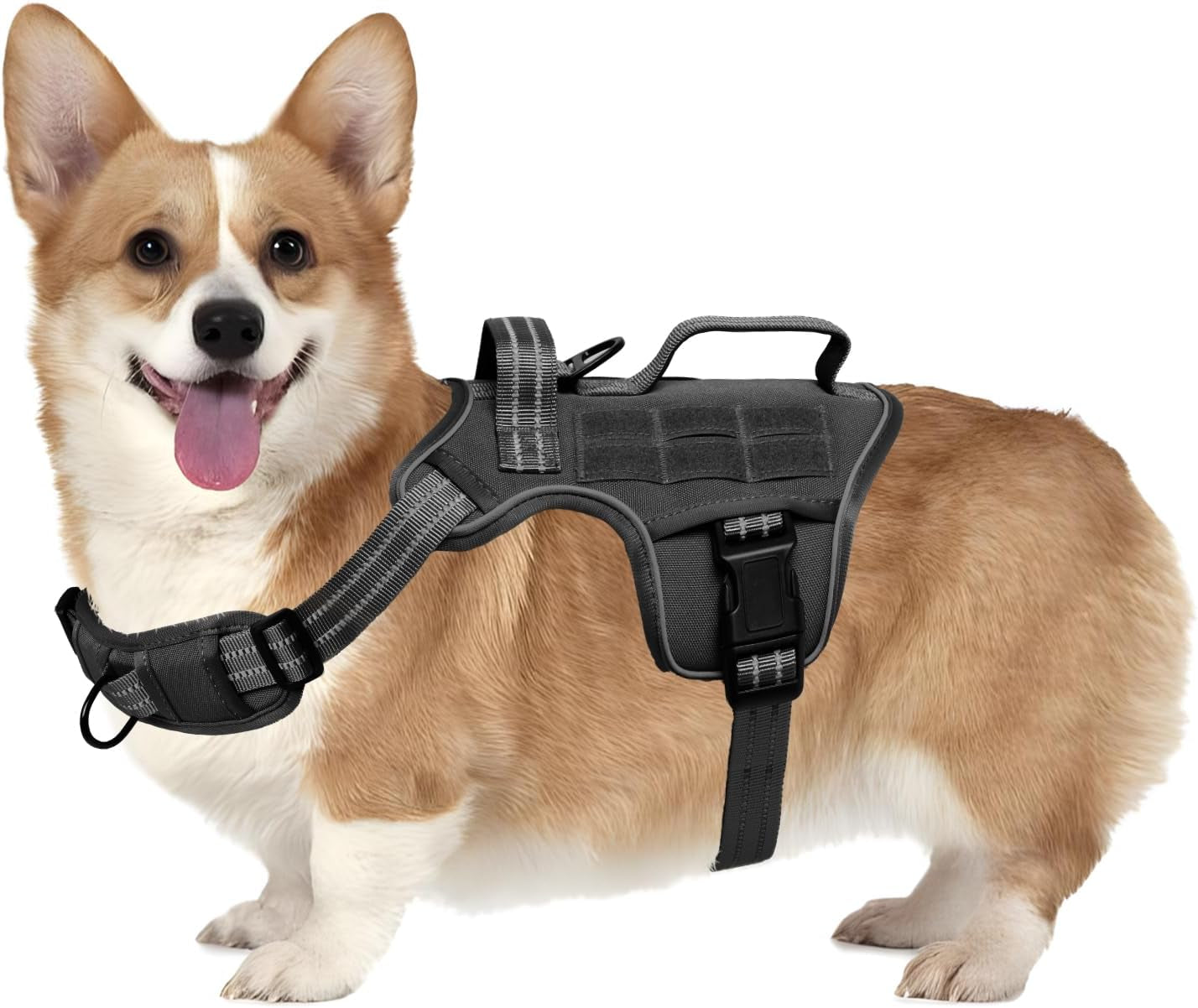 Dog tactical MOLLE harness, dark gray/black vest with front buckles and chest strap