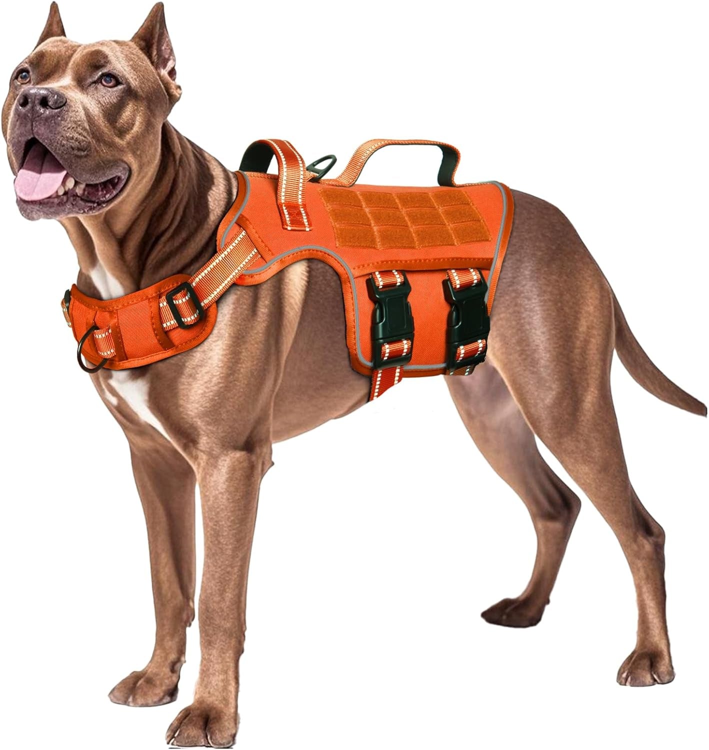 Dog tactical harness vest in orange with padded chest panel, front straps, and buckles