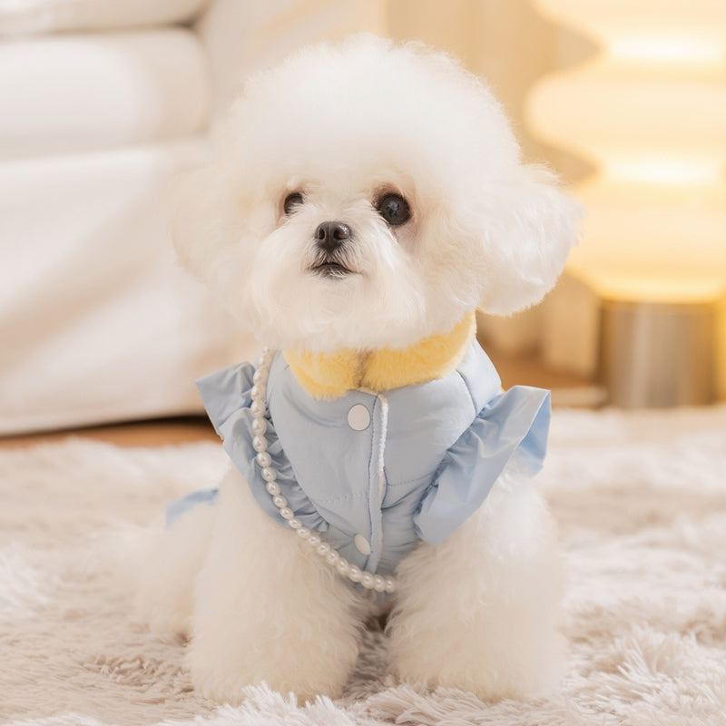 Small dog wearing light blue puffer pet outfit with yellow collar trim and pearl trim