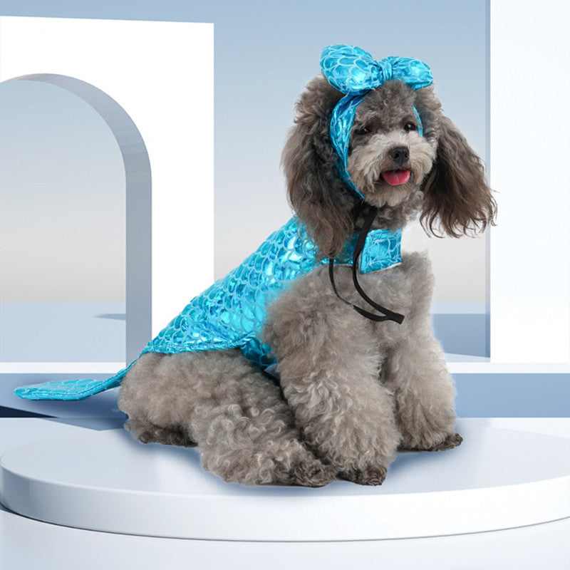 Dog in a blue mermaid pet costume with bow headpiece and fin tail, seated