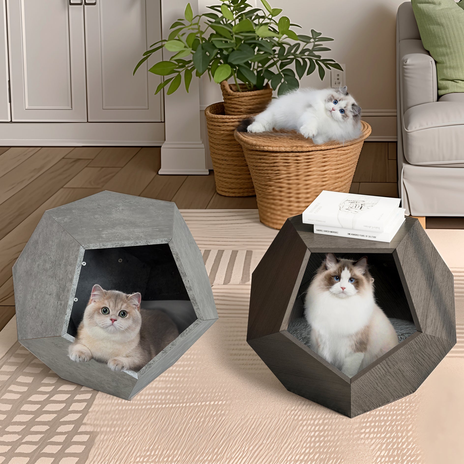 Two-tone hexagon pet furniture with cats sitting inside dark gray MDF boxes