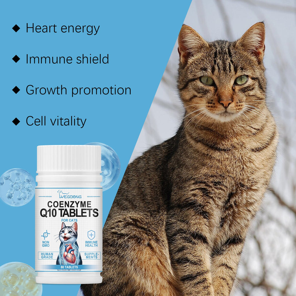 Coenzyme Q10 tablets for cats bottle and box with tabby cat in view