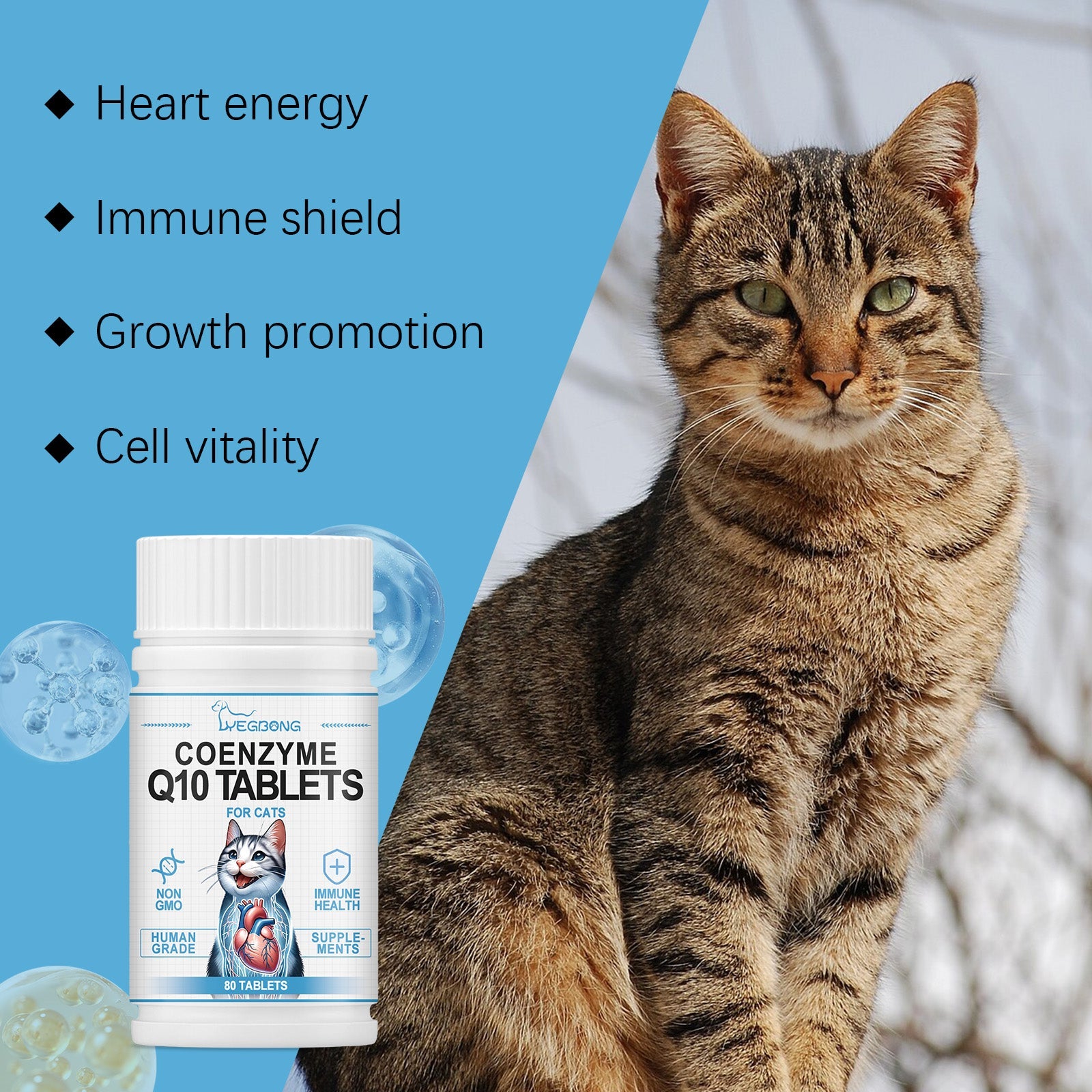 Coenzyme Q10 tablets for cats bottle and box with tabby cat in view