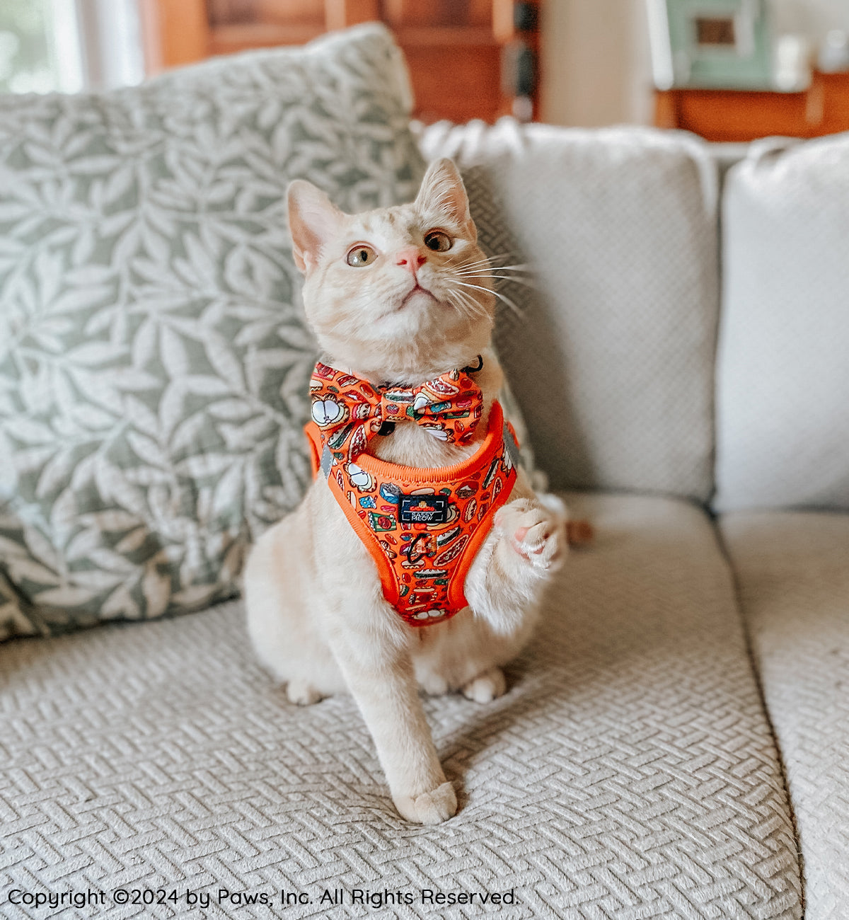 Orange Garfield™️ step-in cat harness on a cat, with character print and gray padded sides