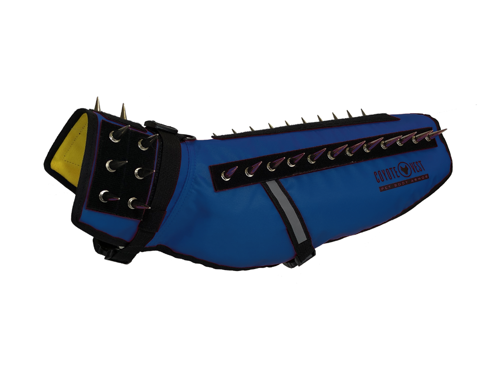 Blue spiked dog vest with black studded strap panel and adjustable side buckles