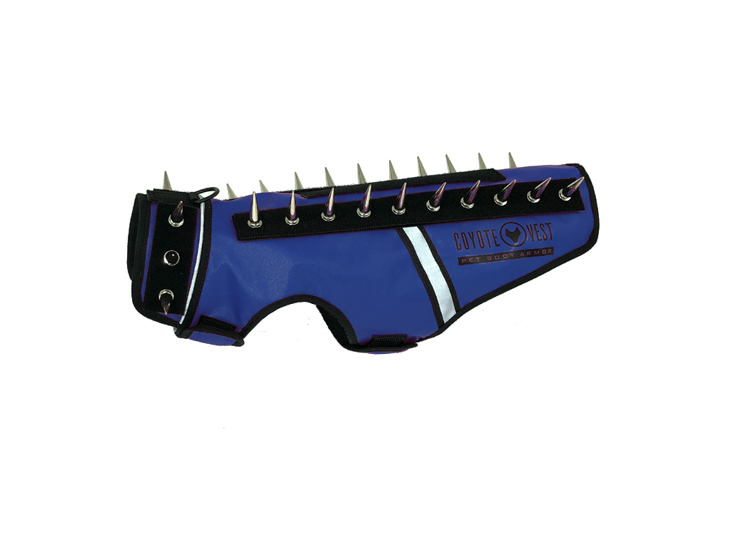 Royal blue spike cat vest with black spikes and white stripe, logo patch