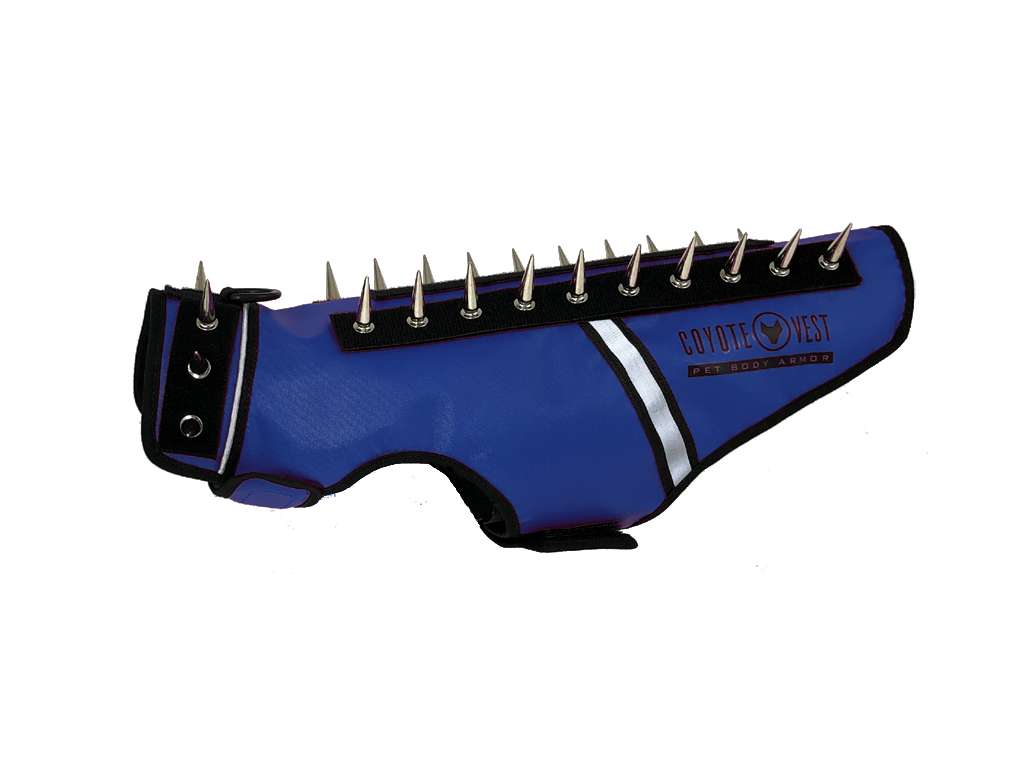 Blue spiked cat vest with black straps, metal studs, and white trim stripe