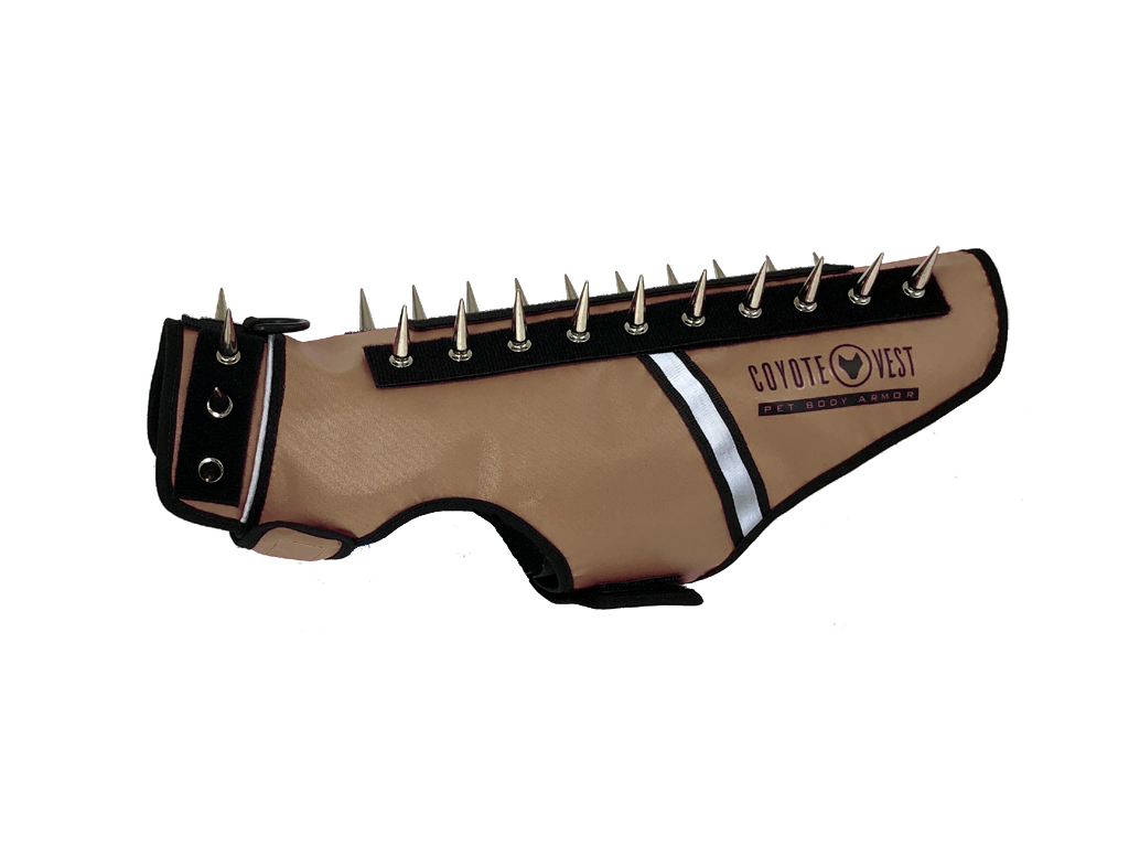 Beige spiked cat vest with black straps, metal studs, and white trim stripe