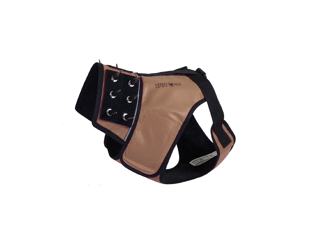 Dog harness in Texas tan and black with metal grommets and spike-style stud panel