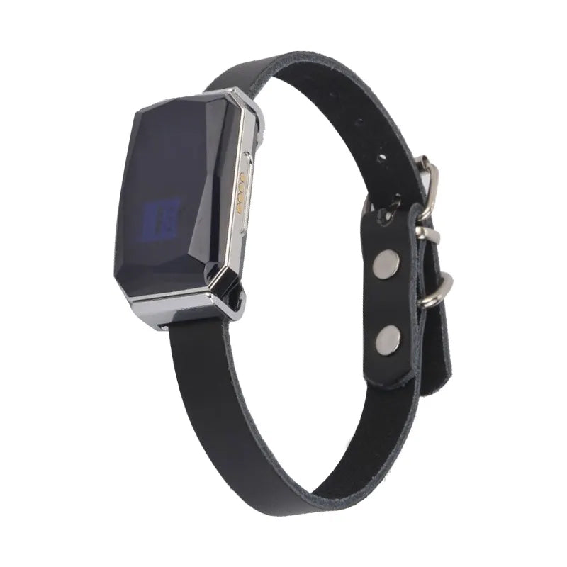 Black anti-loss pet collar band with metal buckle and strap adjustment holes