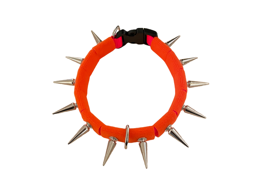 Coyote collar orange fabric ring with silver spikes and metal clasp at back.