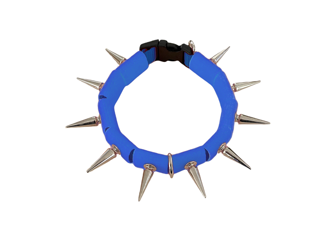Coyote collar blue fabric ring with silver spikes and metal clasp at back.