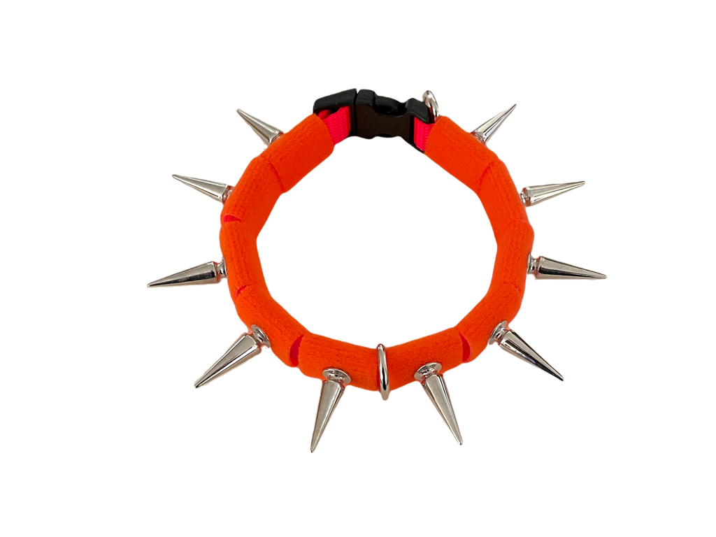 Coyote collar bright orange fabric ring with silver spikes and metal clasp at back.