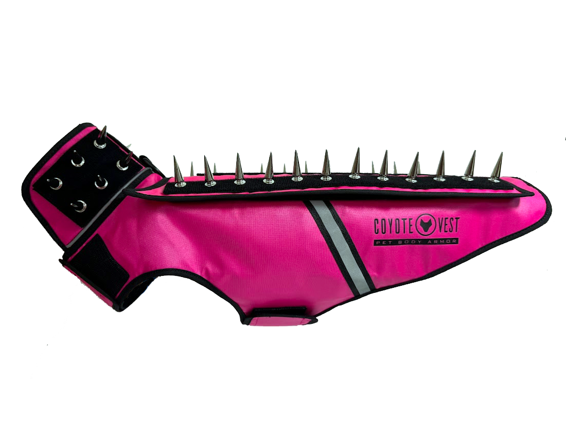 Neon pink spike dog body armor vest with black spikes, black neck strap and gray stripe
