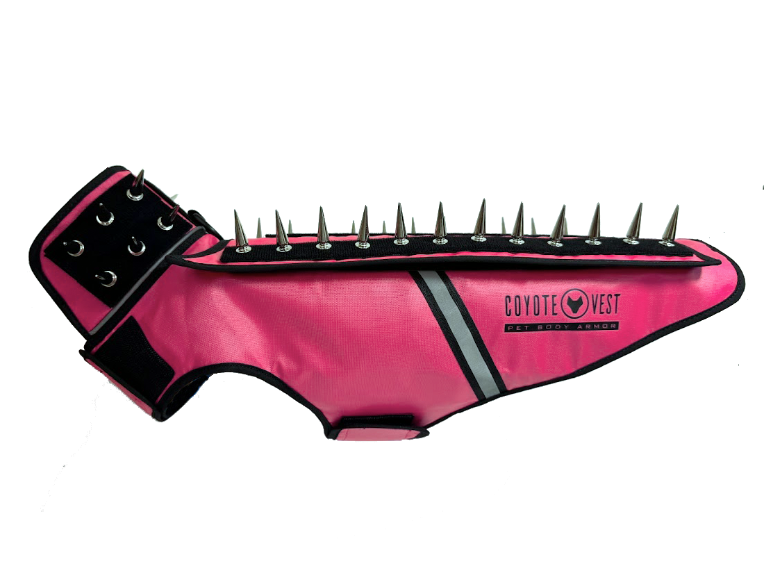 Pink spike dog body armor vest with black spikes, black neck strap and gray protective stripe