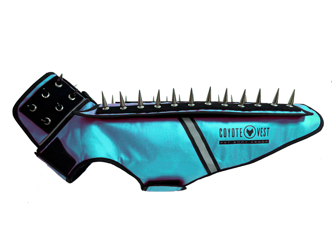 Spike protection dog vest, turquoise blue with black spikes, black strap and gray stripe